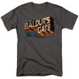 BALDURS GATE Online now