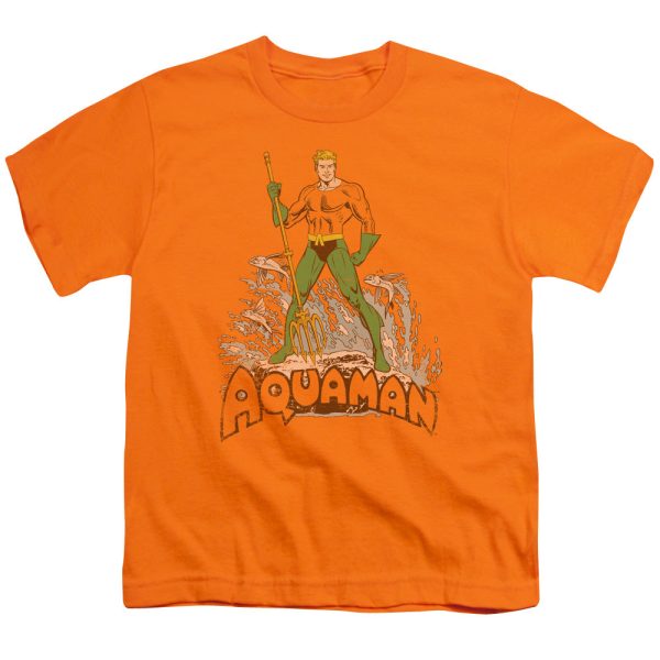 AQUAMAN DISTRESSED Cheap