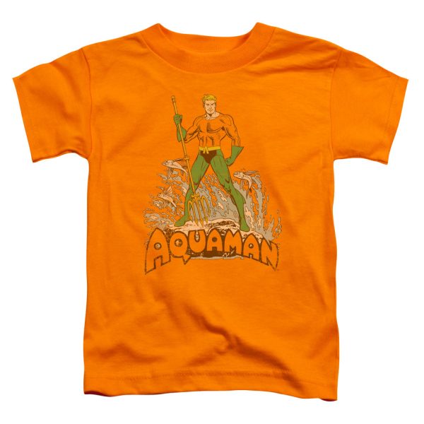 AQUAMAN DISTRESSED Cheap