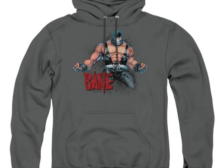 BANE FLEX For Sale