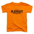 BLACKGATE on Sale