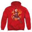 ZUKO FLAME BURST Online