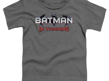 BATMAN IN TRAINING Online