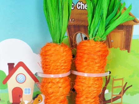 A & E Cage Loofah Carrots Small Animal Toy Online Sale